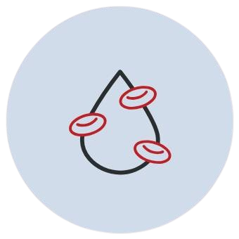 Check-up anemia